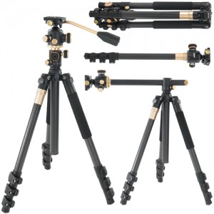 ��ǰ ������